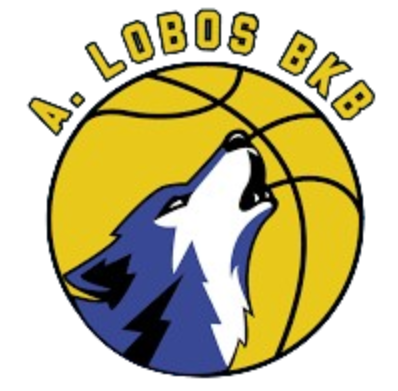 洛博斯BKB U21logo