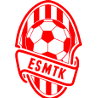 艾尔瑟贝堤ESMTKlogo
