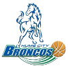 休姆市野马logo