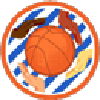 坎皮纳斯女篮logo