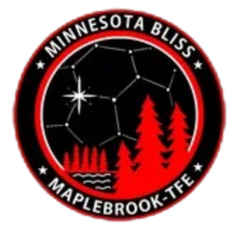 MN布利斯女足logo