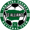 耶尔韦U19logo