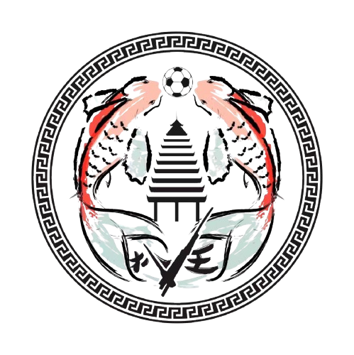 扒王村足球队logo