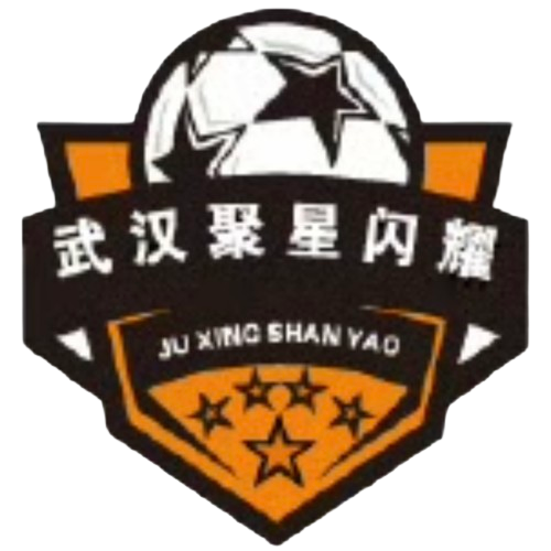 武汉聚星闪耀logo