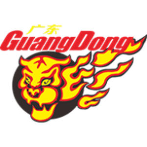广东东阳光logo