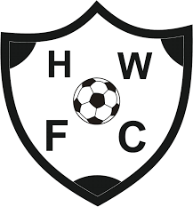 奥尔克塔流浪者队logo