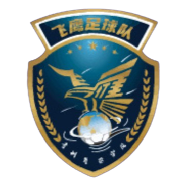 贵州飞鹰logo