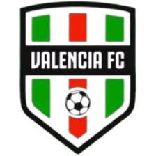 瓦伦西亚德波尔蒂U20logo