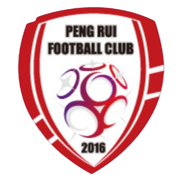 北京通州鹏瑞通达logo