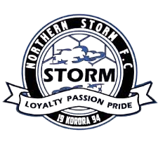 北方风暴logo