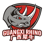 广西威壮logo