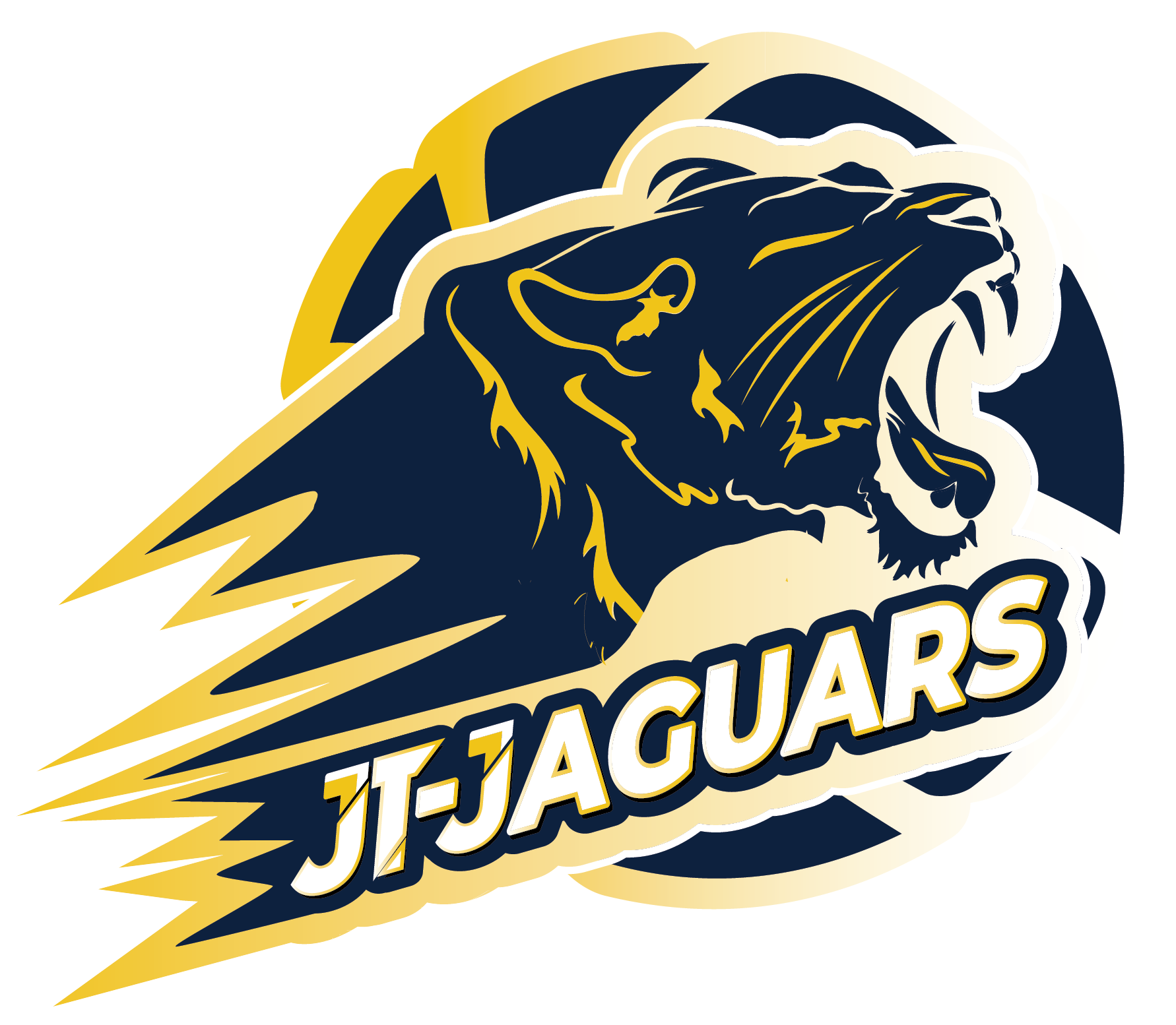 JT美洲虎女篮logo