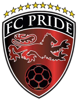 骄傲精英logo