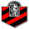 坦迪尔独立logo