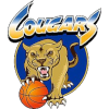 美洲狮U21logo
