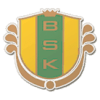 波斯坦纳斯女足logo