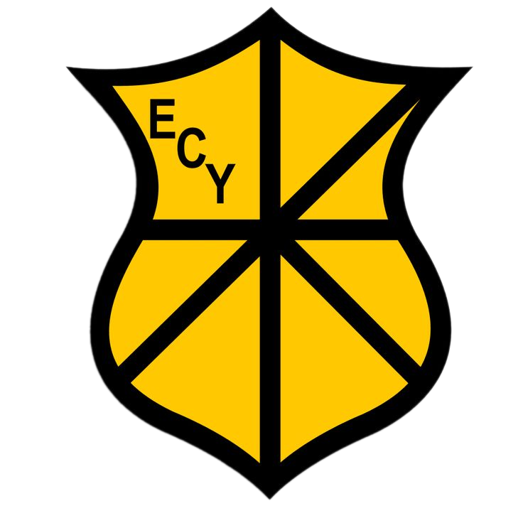 派瑞加BA U20logo