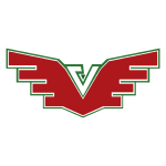 维迪罗霍logo