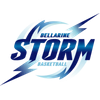贝拉林风暴logo