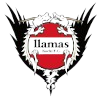 高知美洲驼logo