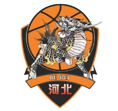 石家庄翔篮logo