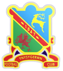 尼斯格溫logo