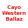 西部巴拉兹logo