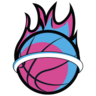 迈阿密热火logo